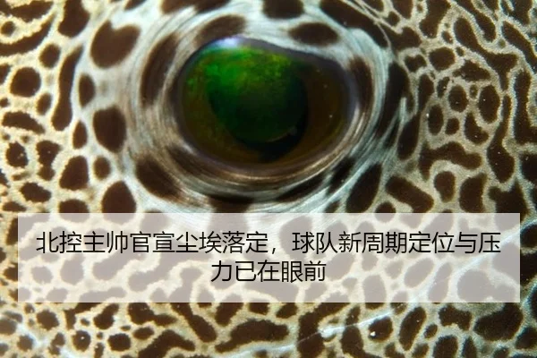 bei-kong-zhu-shuai-guan-xuan-chen-ai-luo-ding-qiu-dui-xin-zhou-qi-ding-wei-yu-ya-li-yi-zai-yan-qian-2-206.jpg